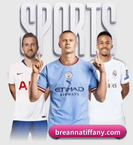 金年会登入的故事